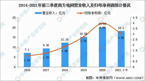 2022年中国智能电网行业市场前景及投资研究预测报告——工程管理服务篇